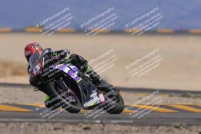 media/Nov-05-2022-SoCal Trackdays (Sat) [[f8d9b725ab]]/Turn 4 Tree of Life (125pm)/